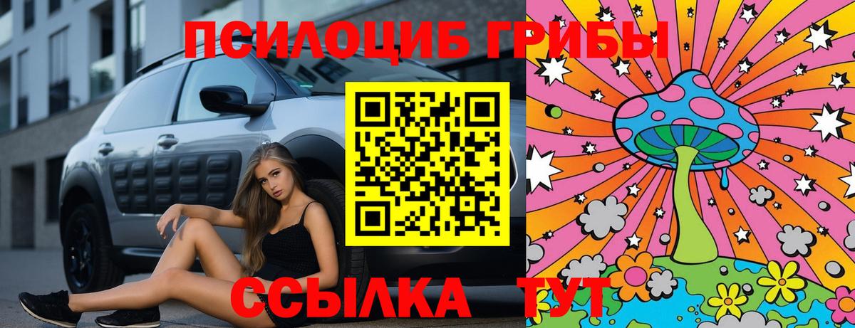 Псилоцибиновые грибы прущие грибы  Вход с VPN  Подольск 
